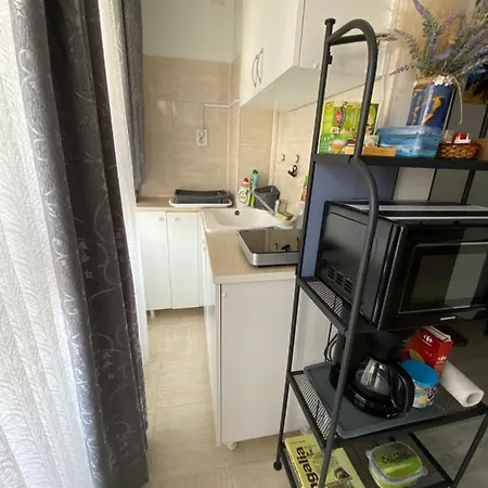 Casa Ancutei *